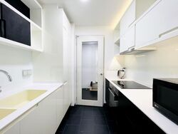 Village @ Pasir Panjang (D5), Condominium #465014391
